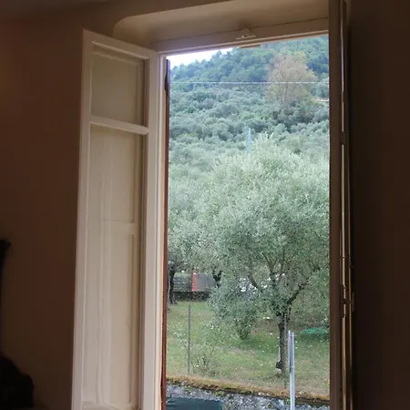 Rosa Immersa Nel Apartament