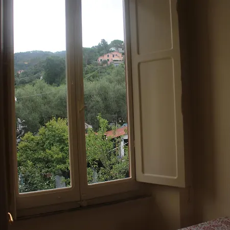 Rosa Immersa Nel Apartament